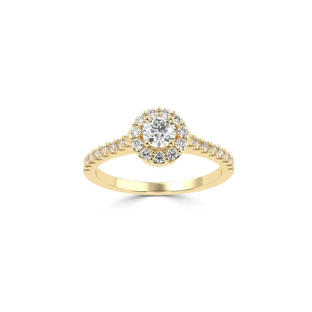 ZARN6992.3.yellow