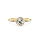 ZARN6992.4.yellow