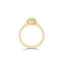 ZARN6992.5.yellow