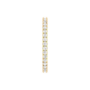 RDRN9274.5.yellow