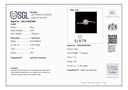 SP SIXLR-1108