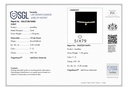 SP SIXLBR005P