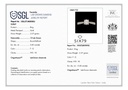 SP SIXLR1755