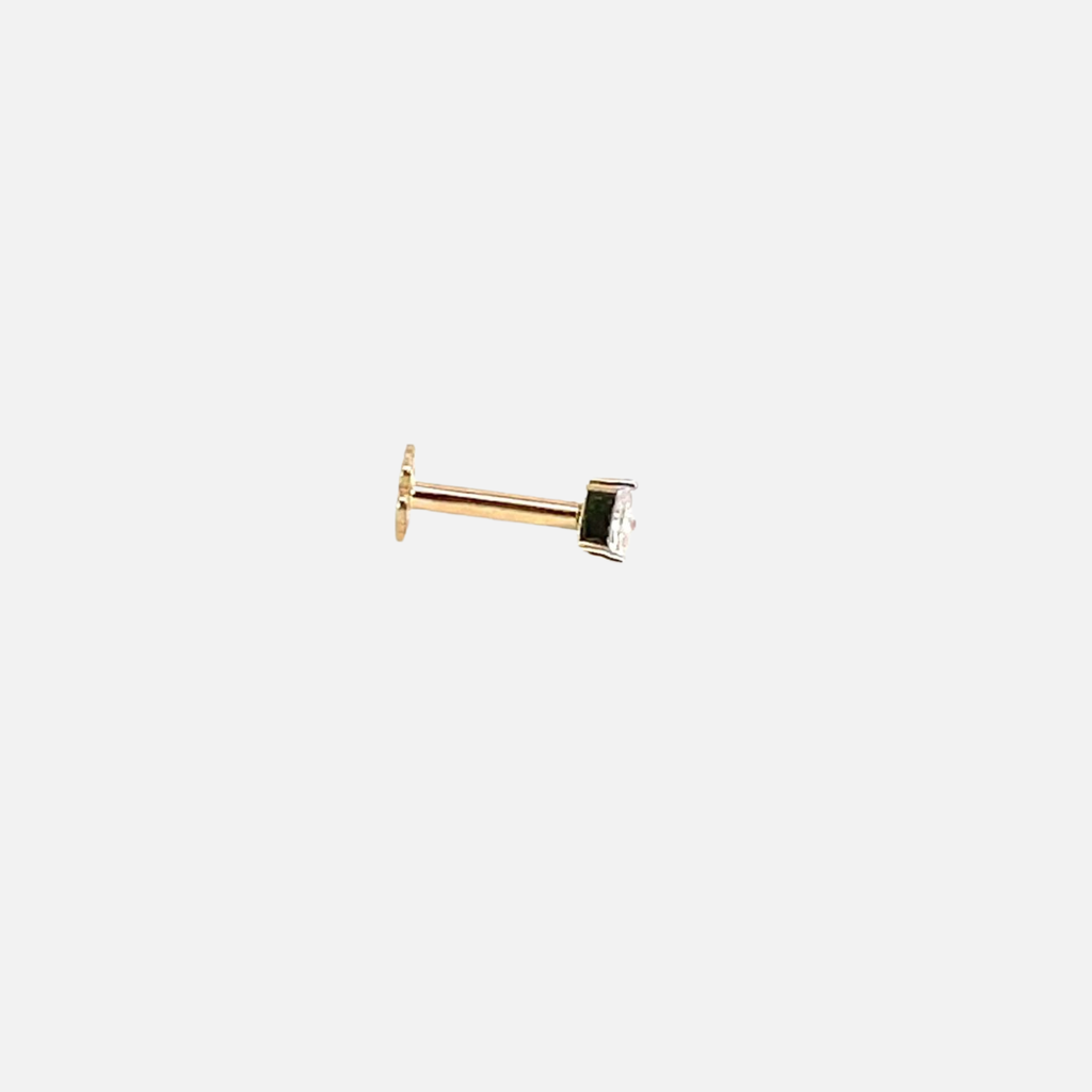 SP SIXNP003P
