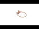 SP SIXLR0065P