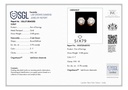 SP SIXER0082P