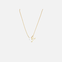 SIXP009P (WITH CHAIN)