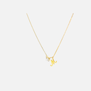 SIXP009P (WITH CHAIN)