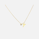 SIXP009P (WITH CHAIN)