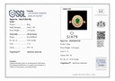 RD SIXLR0135P