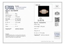 SIXLR0160P