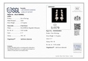 RD SIXER0098P