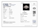 RD SIXLR0175P 