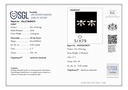 RD SIXMSE006P