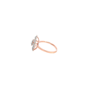 RD SIXLR0161P