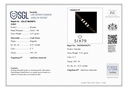 RD SIXLBR0019P