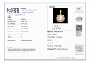 RD SIXP0042P(18K)