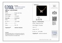 RD SIXPS0019P(WITH CHAIN)