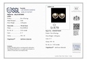 RD SIXER0112P (18K)