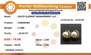 RD SIXER0112P (18K)