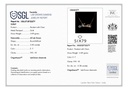 RD SIXMS007P(WITH CHAIN)(18K)