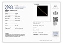RD SIXLBR0029P (18K)