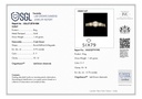 RD SIXLR0162P(1)