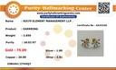 RD SIXMSE006P(2)(18K)