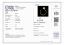 SIXNP007P