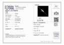 SIXTM-902