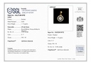 RD SIXP0046P(WITHOUT CHAIN)
