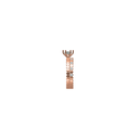 SIXLR0169P