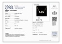 RD SIXP0041P(5)(WITH CHAIN)