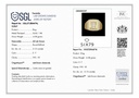 SIXGR0050P