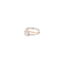 RD SIXLR0207P(2)