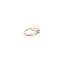 RD SIXLR0207P(2)