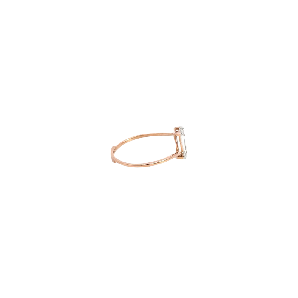 RD SIXLR0060P(2)