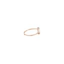 RD SIXLR0060P(2)