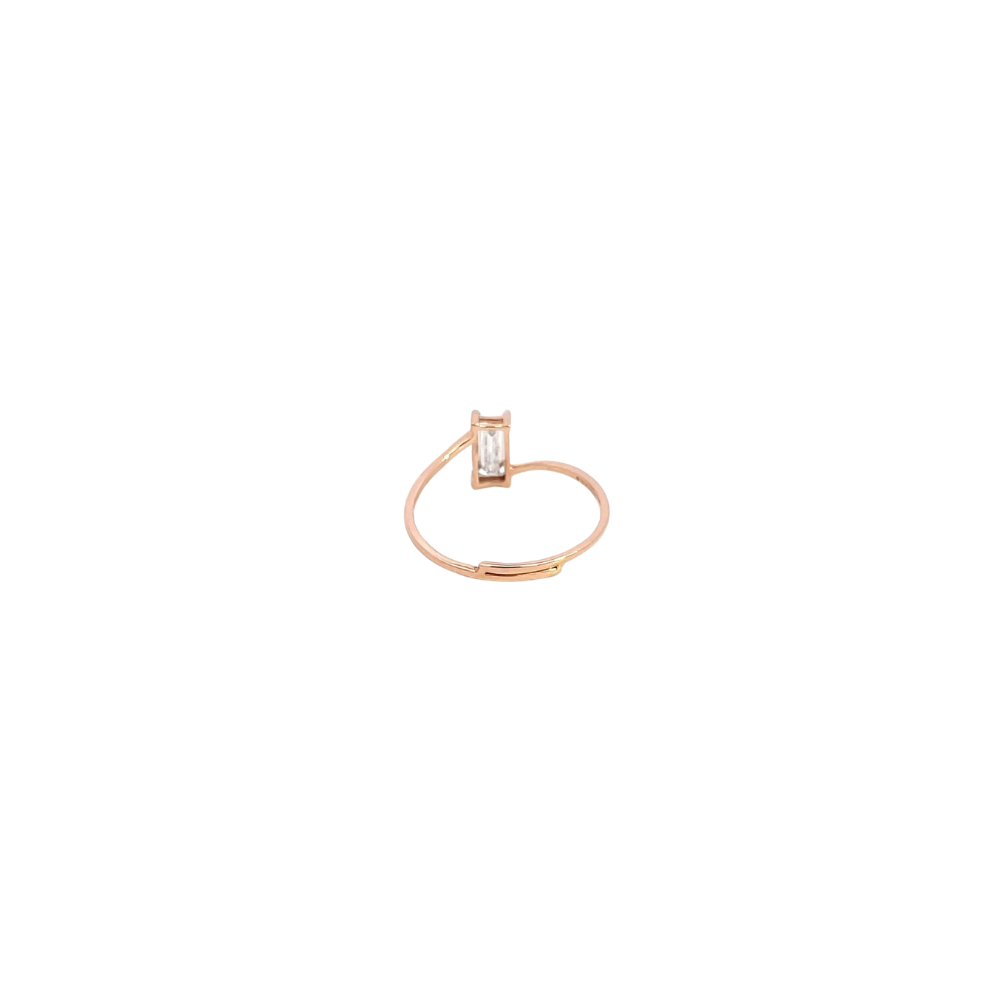 RD SIXLR0060P(2)
