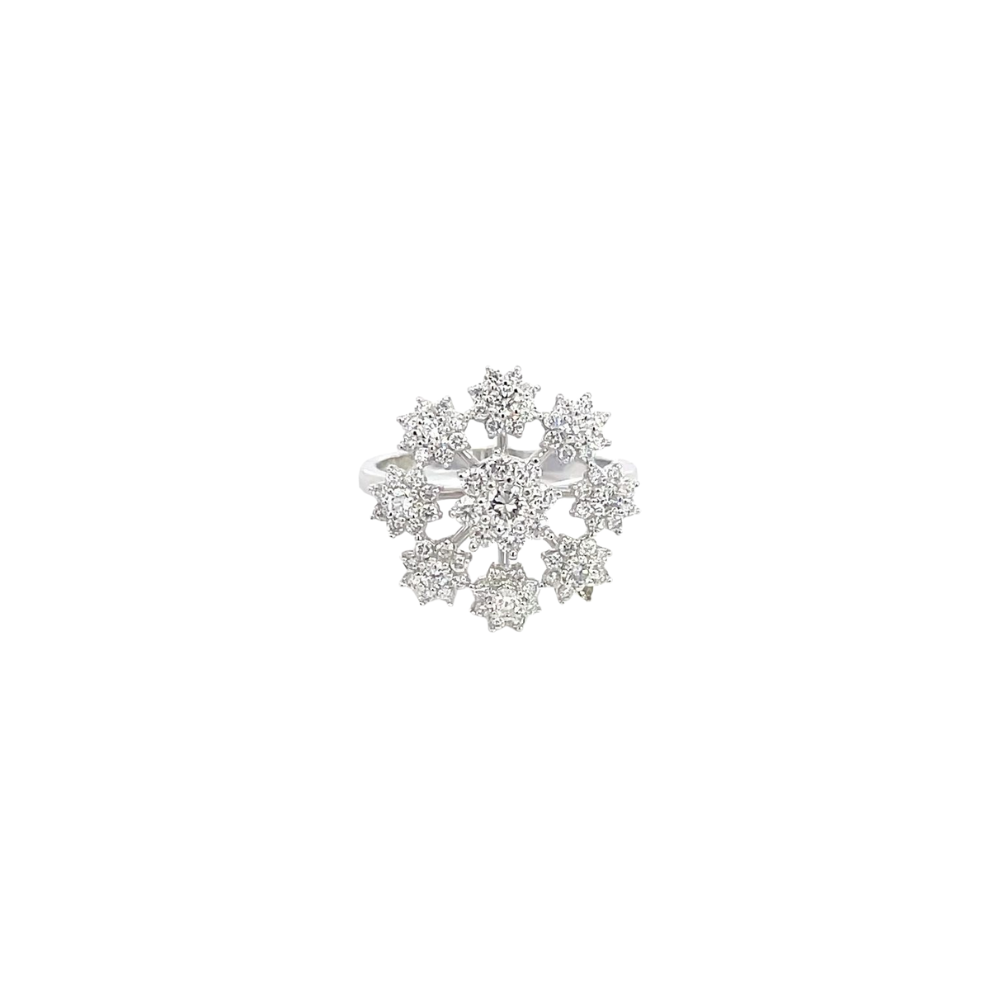 RD SIXLR0161P(2)