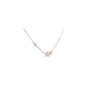 RD SIXNK0021P