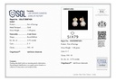 RD SIXER0016P(2)