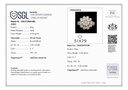 RD SIXLR0046P