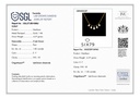 RD SIXNK0022P