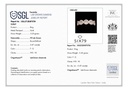 SIXLR-482
