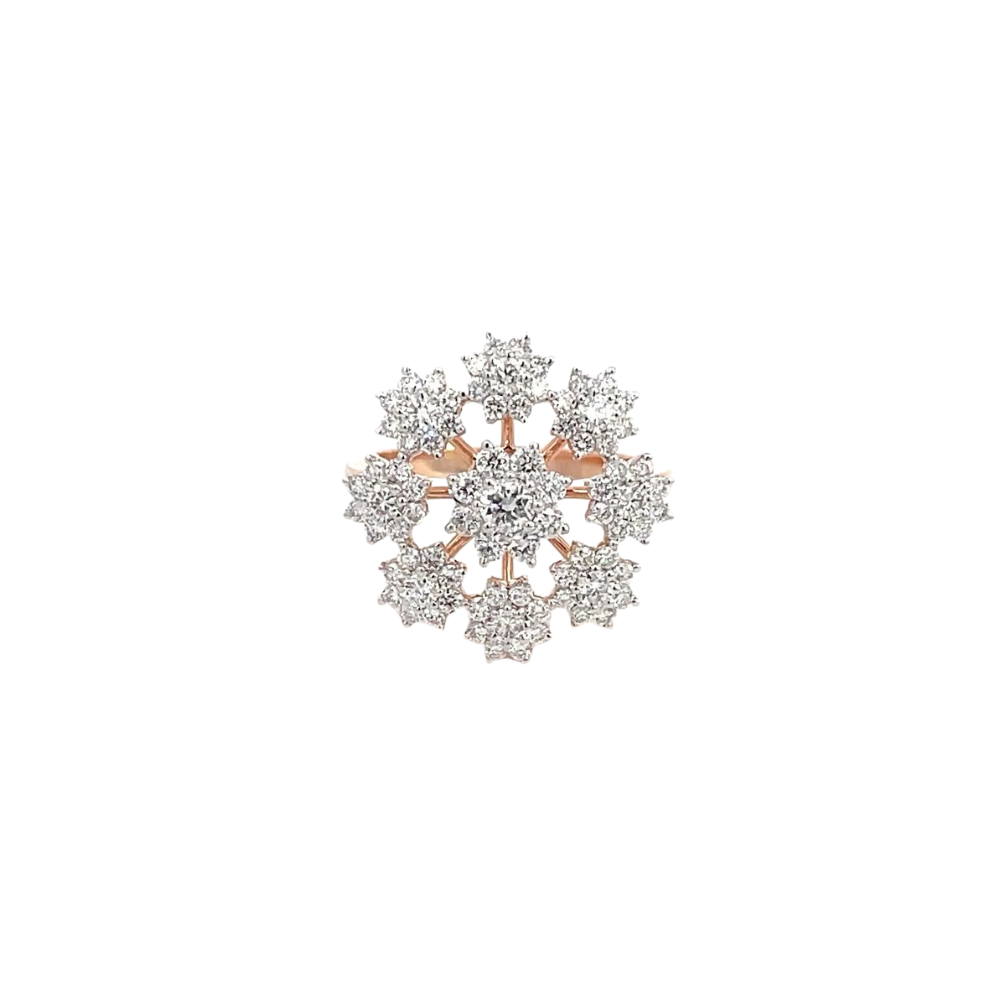 RD SIXLR0161P(2)