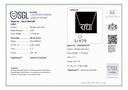 RD SIXP0019P