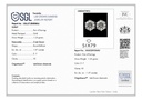 RD SIXER0078P(1)