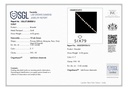 SIXLBR0036P