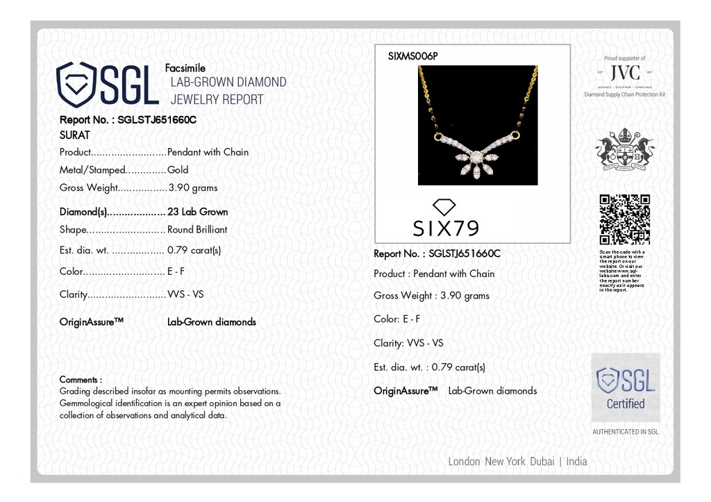 RD SIXMS006P(1)(with chain)